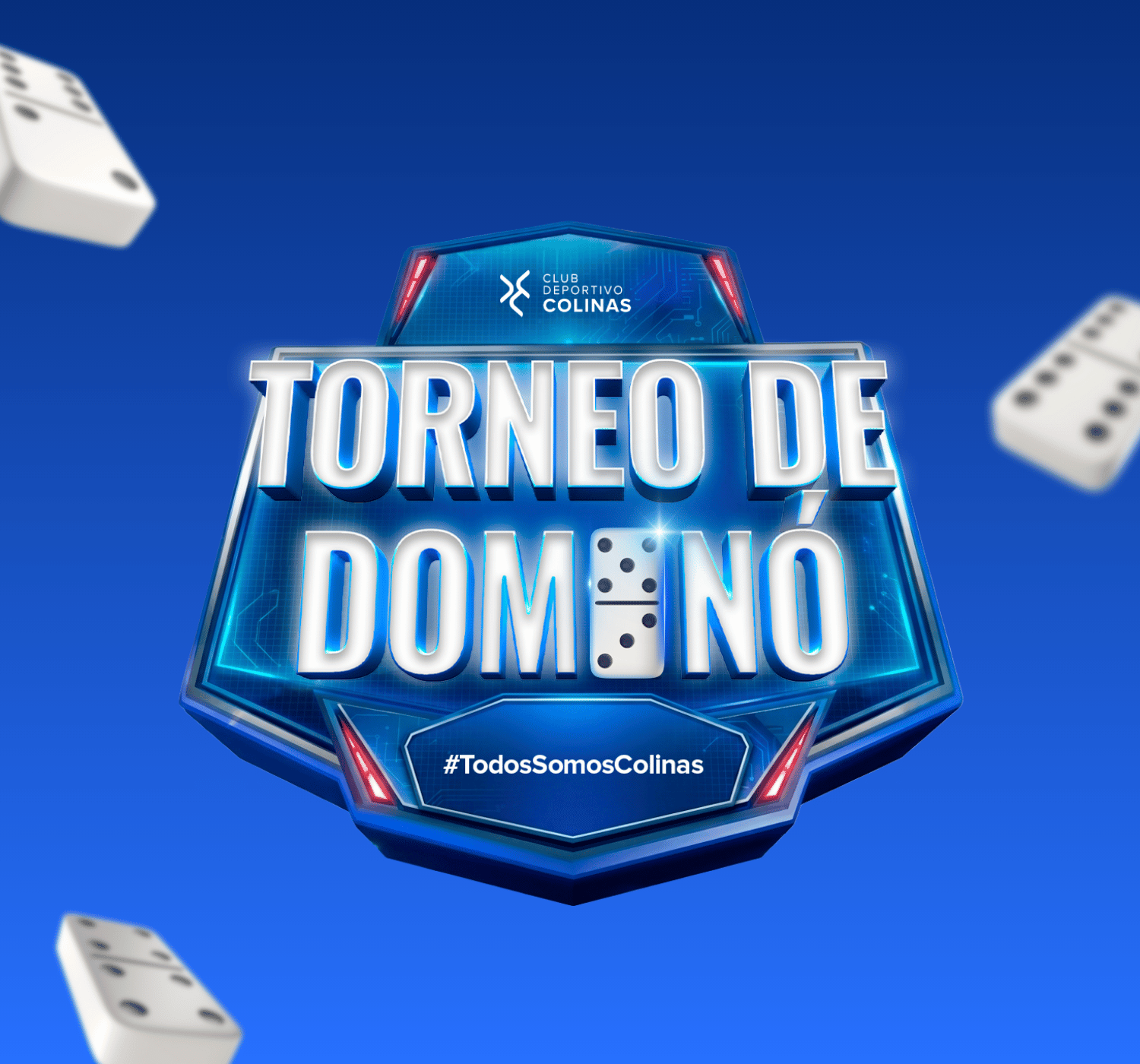 Torneo de Dominó