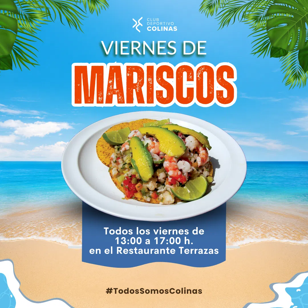vm-07012026-redes